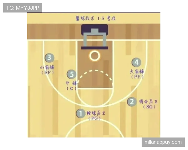 篮球防守站位规则详解：合法防守与非法站位界定
