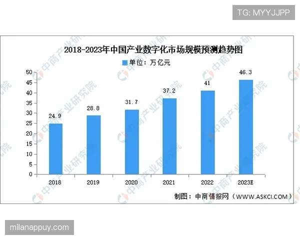 新西兰争夺G组前两名机会分析 新西兰争夺G组前两名机会分析